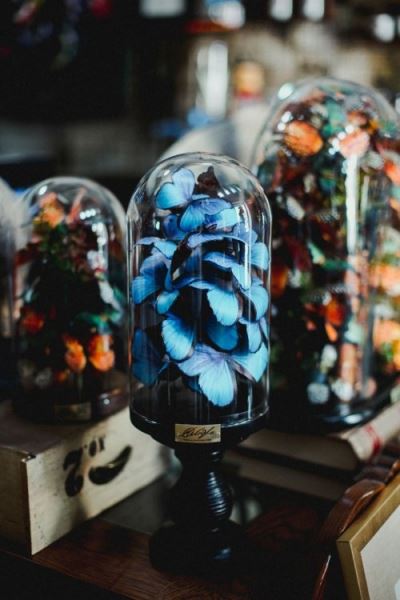 Нежные и красочные композиции с бабочками под стеклянными куполами — такие же прекрасные, как Вечная роза из "Красавицы и чудовища" (19 фото)
