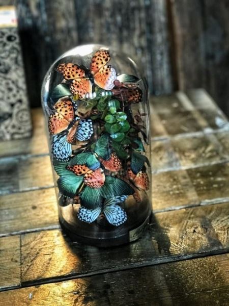 Нежные и красочные композиции с бабочками под стеклянными куполами — такие же прекрасные, как Вечная роза из "Красавицы и чудовища" (19 фото)