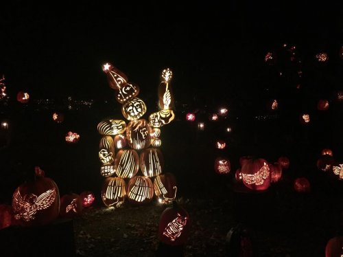 Фестиваль светящихся светильников Джека в Нью-Йорке (17 фото)