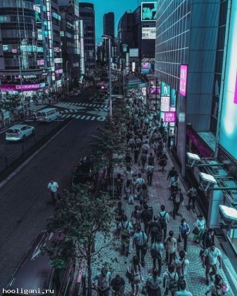 <br />
				Киберпанковские фотографии ночного Токио (24 фото)<br />
							